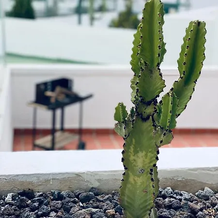 Estrella Del Sur Apartman
